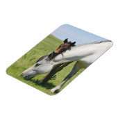 Merrie Grazing met Veulen Magneet (Linkerzijde)