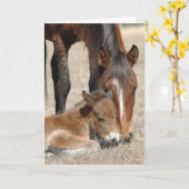 merrie met colt kaart (Gele Bloem)