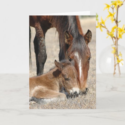 merrie met colt kaart (Gele Bloem)