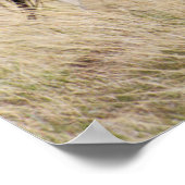 Merrie met veulen poster (Hoek)