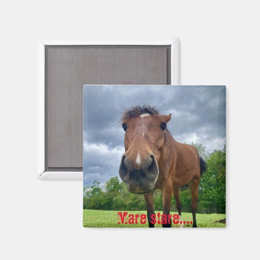 merriemaakmagneet magneet (Voorkant / Achterkant)