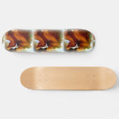 merries en pony's skateboard (Horizontaal)