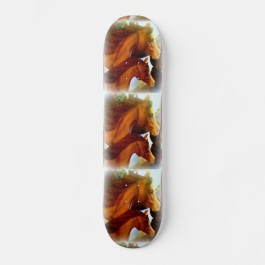 merries en pony's skateboard (Voorkant)