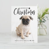 Merriest Kerstrode Buffalo Pset Foto Feestdagenkaart (Staand voorkant)