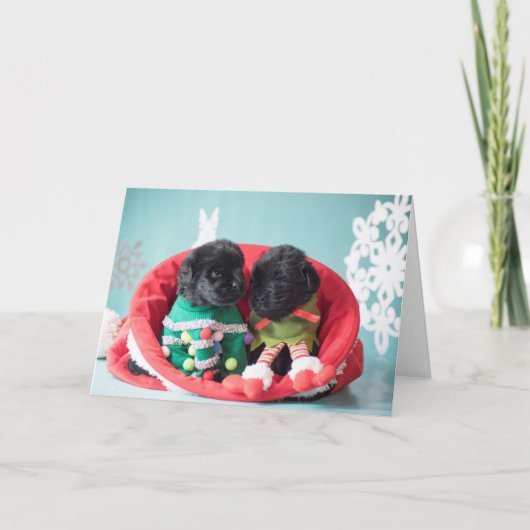 Merrily en met dank het "puppy" van het Elf Feestdagen Kaart (Voorkant)