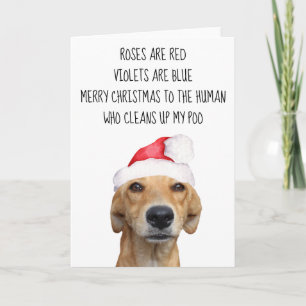 Merrry Kerstmis van de Dog Funny Kaart