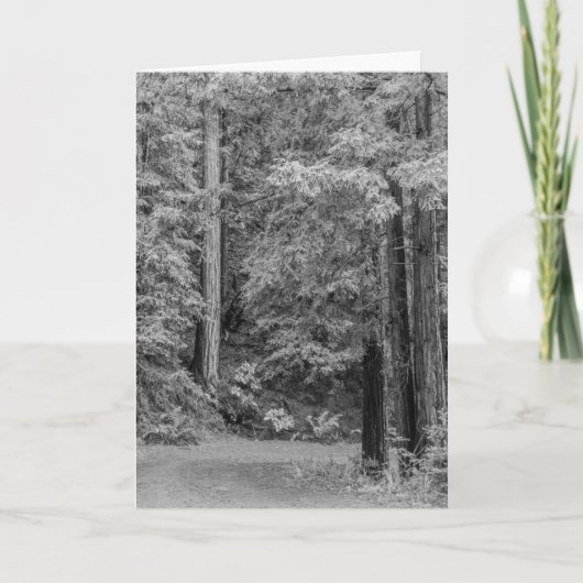 Merry Adventures Feestdagen Kaart (Voorkant)