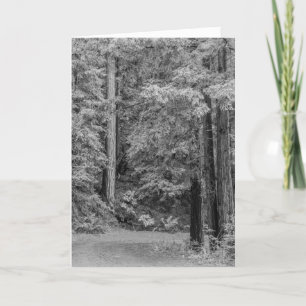 Merry Adventures Feestdagen Kaart