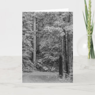 Merry Adventures Feestdagen Kaart