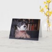 Merry Anna the Papijack Dog Kaart (Gele Bloem)