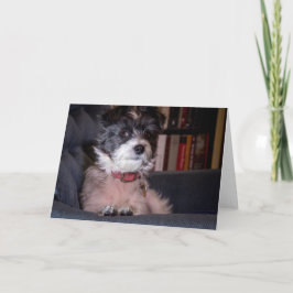 Merry Anna the Papijack Dog Kaart