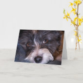 Merry Anna the Papijack Dog Kaart (Gele Bloem)