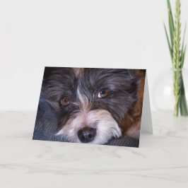 Merry Anna the Papijack Dog Kaart