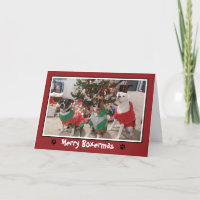Merry Boxermas Boxer Dog-kerstfeestkaart