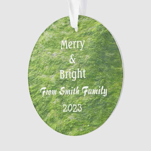 Merry & Bright Christmas Custom Name Zee Moss Gift Ornament (voorkant)