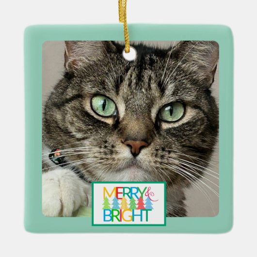 Merry & Bright Foto Ornament (Voorkant)