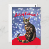 Merry Catmas, bengaals Briefkaart van katten (Voorkant / Achterkant)