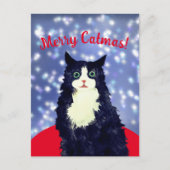 Merry Catmas Briefkaart (Voorkant)