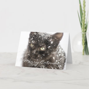 Merry Catmas Cat Christmas Wenskaart Feestdagen Kaart