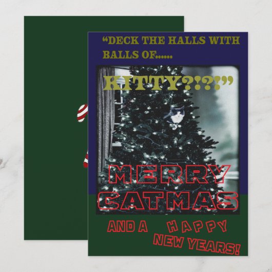 Merry Catmas Feestdagenkaart (Voorkant / Achterkant)