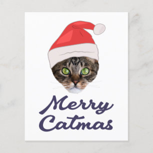 Merry Catmas, kerstkat Santa hat Invitation Flyer