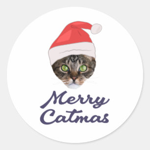 Merry Catmas, kerstkat Santa hat Invitation Ronde Sticker