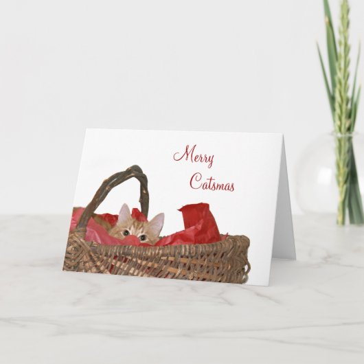 Merry Catsmas Feestdagen Kaart (Voorkant)