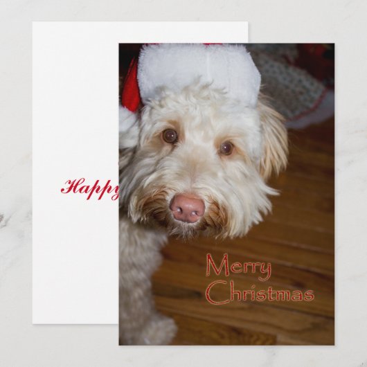Merry Christmas A Labradoodle with a Santa hat on Feestdagenkaart (Voorkant / Achterkant)