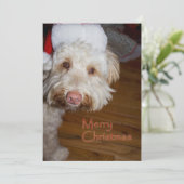 Merry Christmas A Labradoodle with a Santa hat on Feestdagenkaart (Staand voorkant)