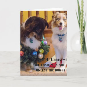 Merry Christmas Aussies Feestdagen Kaart