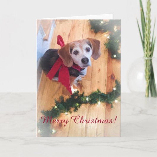 Merry Christmas Beagle  Blank Kaart (Voorkant)