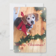 Merry Christmas Beagle Flat Kaart