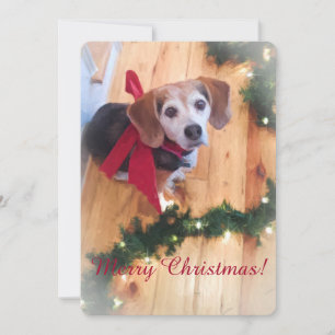 Merry Christmas Beagle Flat Kaart