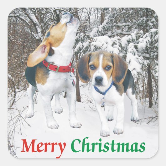 Merry Christmas Beagle Snowy Bossen Stickers (Voorkant)