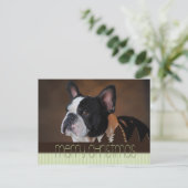 Merry Christmas Boston Terrier Dog Briefkaart (Staand voorkant)