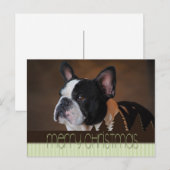 Merry Christmas Boston Terrier Dog Briefkaart (Voorkant / Achterkant)