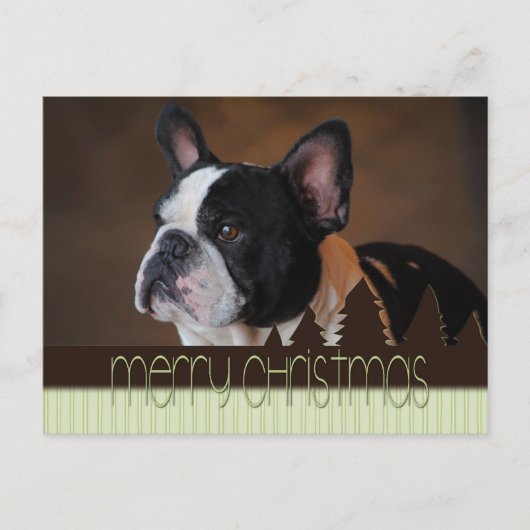 Merry Christmas Boston Terrier Dog Briefkaart (Voorkant)