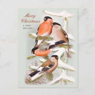 Merry Christmas Bullfinches snowy pine tree CC1059 Feestdagenkaart