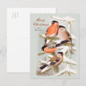 Merry Christmas Bullfinches snowy pine tree CC1059 Feestdagenkaart (Voorkant / Achterkant)