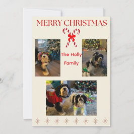 Merry Christmas Candy Cane and Twinkle Card Feestdagenkaart