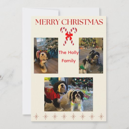 Merry Christmas Candy Cane and Twinkle Card Feestdagenkaart (Voorkant)