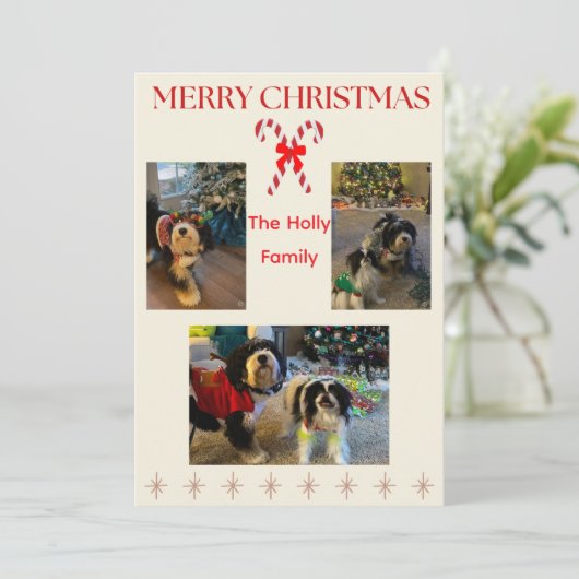 Merry Christmas Candy Cane and Twinkle Card Feestdagenkaart (Staand voorkant)