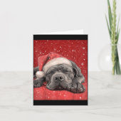 Merry Christmas Cane Corso  Kaart (Voorkant)