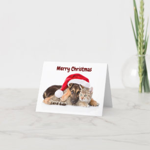 Merry Christmas Cat and Dog foliday card Feestdagen Kaart