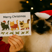 Merry Christmas Cat Lover / Cute Cats  Feestdagenkaart