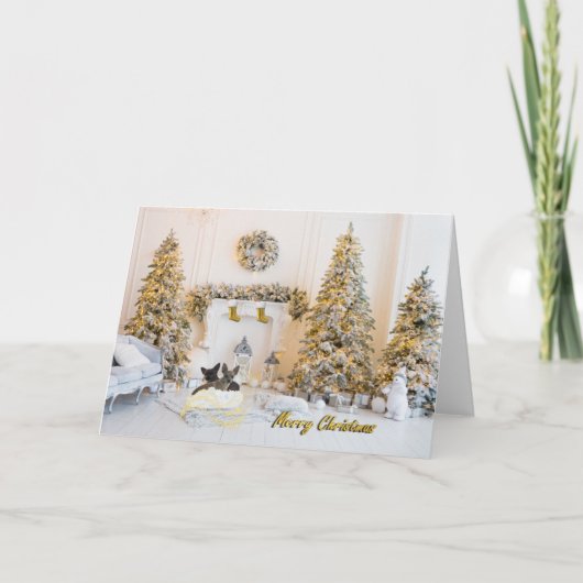 Merry Christmas Chihuahua Kaart (Voorkant)