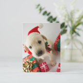 Merry Christmas - cute labrador puppy Feestdagenkaart (Staand voorkant)