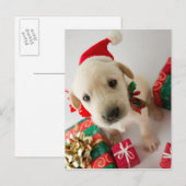 Merry Christmas - cute labrador puppy Feestdagenkaart (Voorkant / Achterkant)