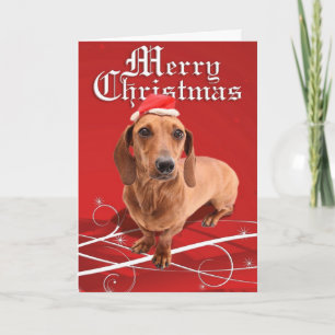 Merry Christmas Dachshund Card Feestdagen Kaart