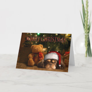 MERRY CHRISTMAS FEESTDAGEN KAART